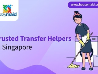 Trusted Transfer Helpers in Singapore