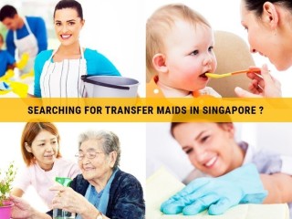 Looking For A Trustworthy Transfer Helper in Singapore