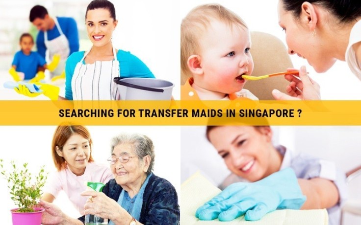 looking-for-a-trustworthy-transfer-helper-in-singapore-big-0