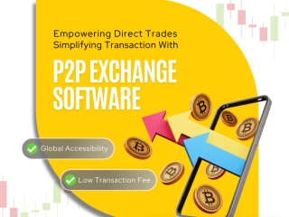 Best P2P Exchange Development Solutions