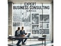 expert-business-consulting-services-small-0