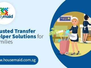 Trusted Transfer Helper Solutions for Families in Singapore