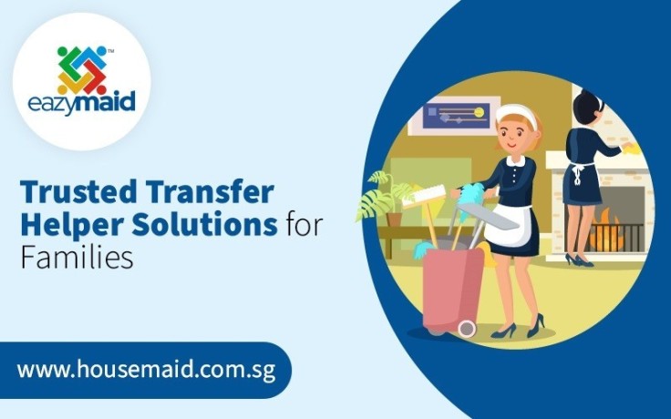 trusted-transfer-helper-solutions-for-families-in-singapore-big-0