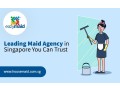 leading-maid-agency-singapore-you-can-trust-small-0