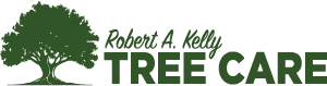 robert-kelly-tree-care-expert-arborists-for-your-tree-service-needs-big-0