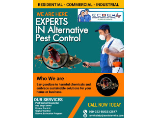 Professional Bug Exterminator in Los Angeles - Ecola Termite and Pest Control Services