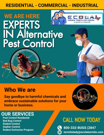 professional-bug-exterminator-in-los-angeles-ecola-termite-and-pest-control-services-big-0