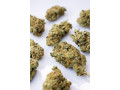 buy-marijuana-online-marijuana-for-sale-online-small-3