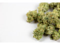 buy-marijuana-online-marijuana-for-sale-online-small-0