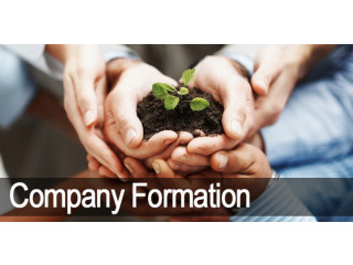 Company Formation Process