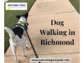 top-dog-walking-in-richmond-awesome-pawz-small-0