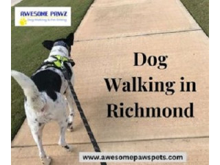 Top Dog Walking in Richmond | Awesome Pawz