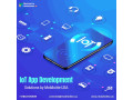 iot-app-development-solutions-by-mobiloitte-usa-small-0