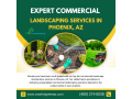 expert-commercial-landscaping-services-in-phoenix-az-small-0