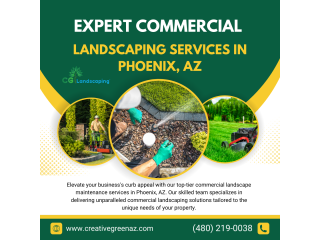 Expert Commercial Landscaping Services in Phoenix, AZ