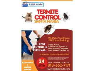 Top Ant Exterminators in My Area - Ecola Termite and Pest Control Services