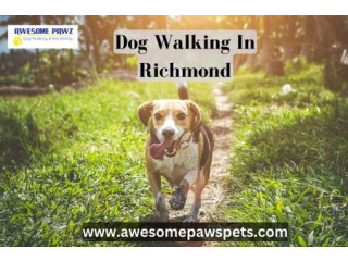 Trusted Dog Walking in Richmond | Awesome Pawz