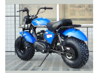 Explore the Outdoors with Jersey Power Sports' TrailMaster Mini Bikes