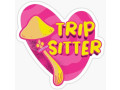 welcome-to-the-hello-trip-sitters-online-store-small-0