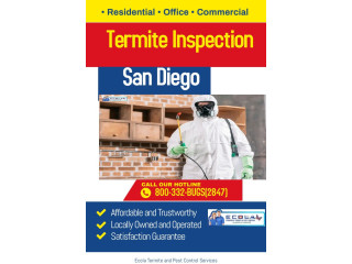 Protect Your Home Today With Effective Termite Injection Treatment!