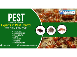 Providing Santa Maria residents with pest control services