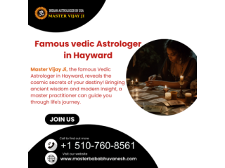 Famous Vedic Astrologer in Hayward