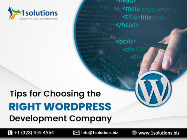 tips-for-choosing-the-right-wordpress-development-company-big-0