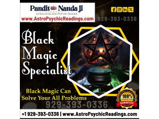Famous Astrologer In New York