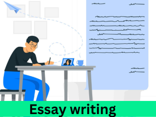 Where we can get the best essay writing service