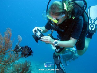 Underwater Barrier Filter: Enhance Your Dive Photography