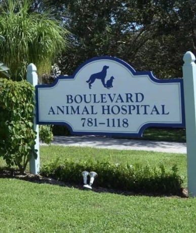 boulevard-animal-hospital-big-0