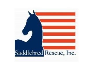 Saddlebred Rescue, Inc.