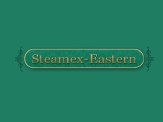 Steamex Eastern of Toledo