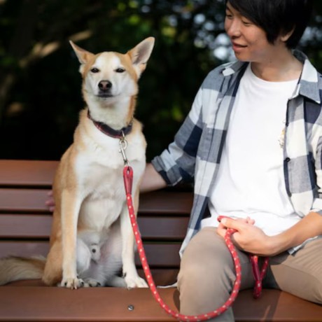 hands-free-dog-leashes-for-large-dogs-big-0