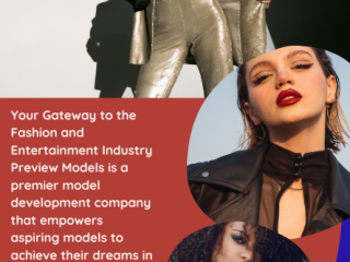 Is Preview Models a Scam?Examining the Controversy