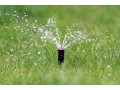 evergreen-sprinkler-and-landscaping-services-small-1