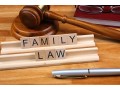 best-family-law-lawyer-brooklyn-small-0