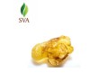 organic-essential-oil-exporter-sva-small-0