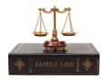 best-family-law-lawyer-brooklyn-small-0