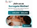 newhopepoints-leading-surrogacy-platform-for-surrogate-mothers-small-0