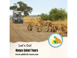 Tanzania Safari Tours: An unforgettable Experience