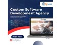 custom-software-development-agencydigileap-small-0