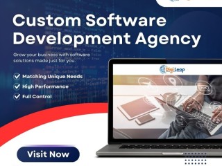 Custom Software Development Agency|Digileap