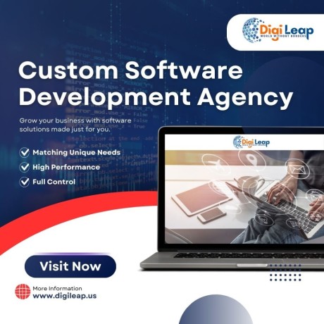 custom-software-development-agencydigileap-big-0