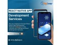 react-native-app-development-services-digileap-small-0