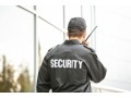 best-security-practices-for-sports-arenas-hiring-experienced-guard-services-small-0