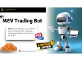 mev-trading-bot-at-coinsqueens-small-0