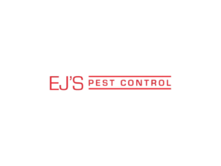 Effective Cockroach Pest Control Near You | Natural & Professional Solutions