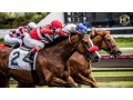 experience-thrilling-online-horse-racing-with-handicap-contests-small-0