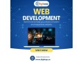 web-development-services-in-usa-digileap-small-0